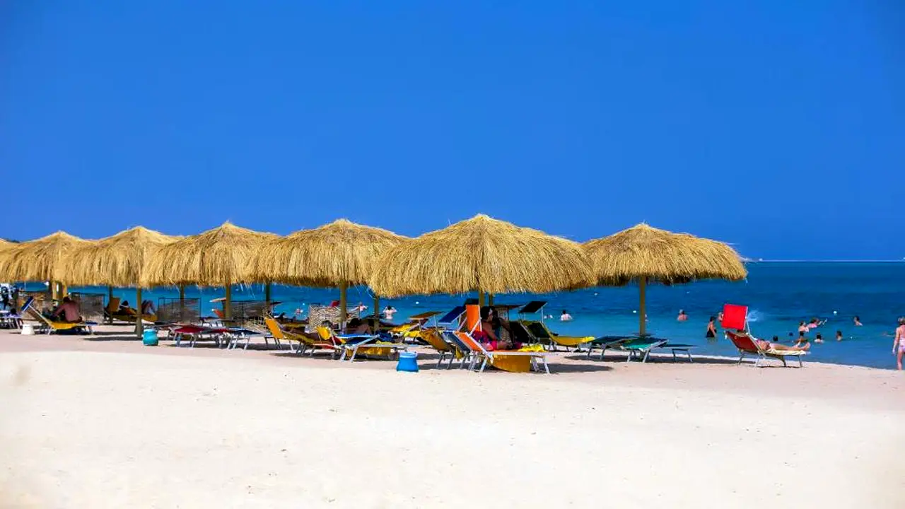 الفندق كاريبيان وورلد - سوما باي